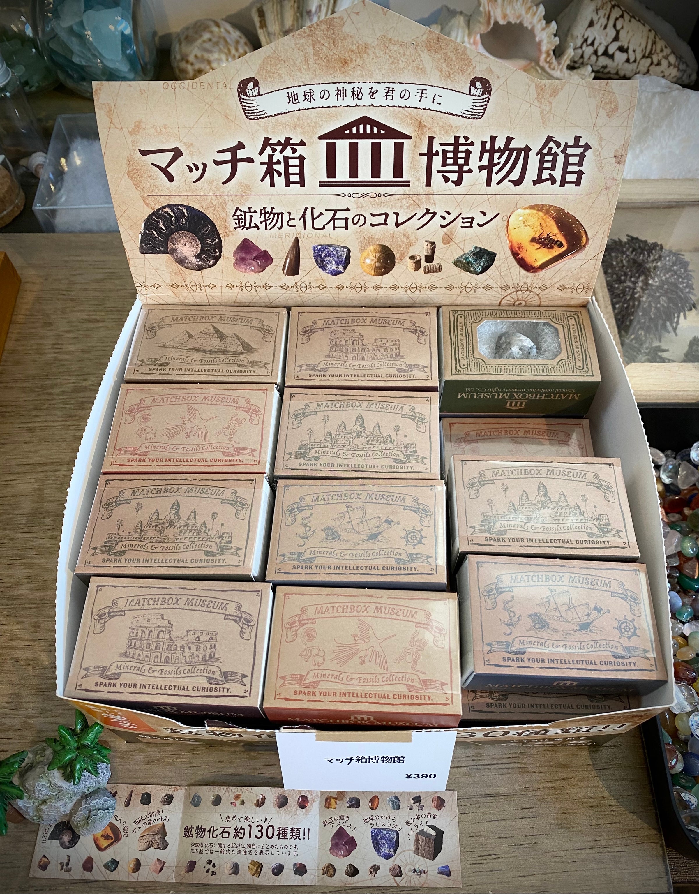 貝殻と化石のコレクション マッチ箱博物館 鉱物と化石のコレクション | 博物趣味ラボ