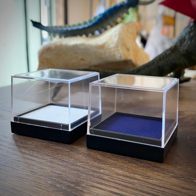 標本ケース | 博物趣味ラボ